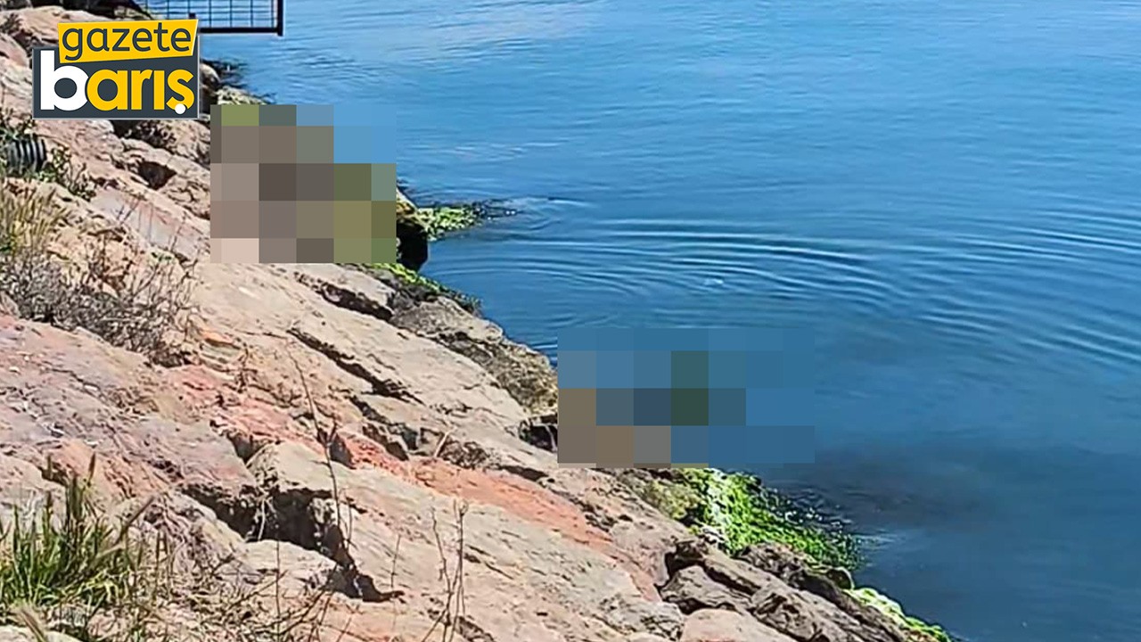 Hereke sahilinde objektife takıldı, görenler şaştı kaldı