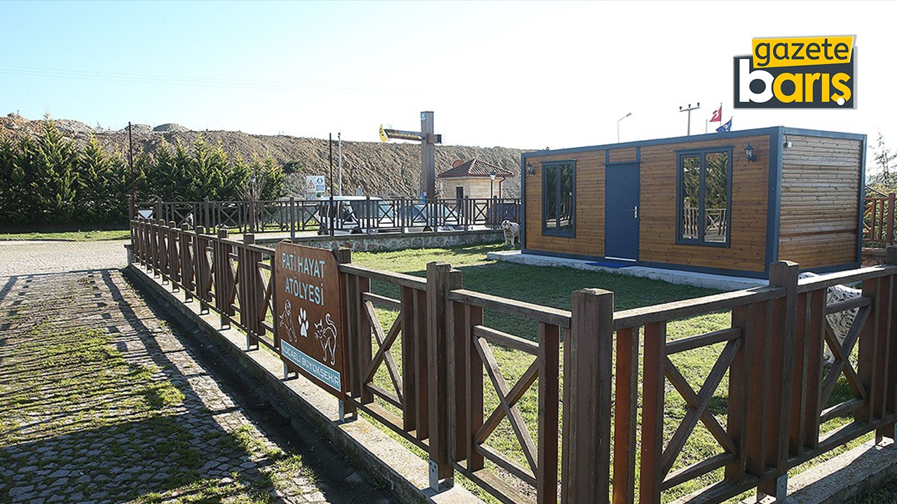 Kocaeli’nin hayvan barınağı büyütülüyor