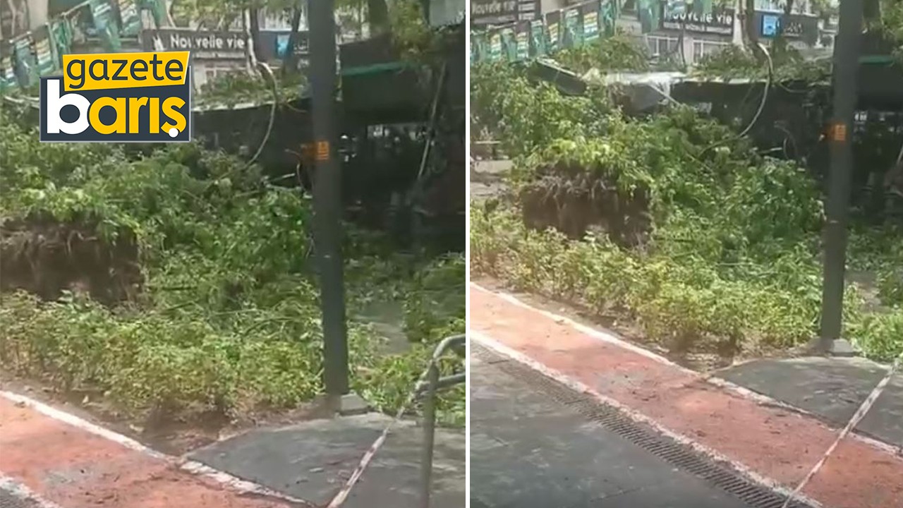 İzmit’te ünlü kafe ağaç altında kaldı!