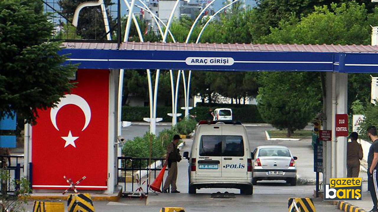 Kocaeli’de Deniz Komutanlığı çam ve çınar ağaçlarını satacak