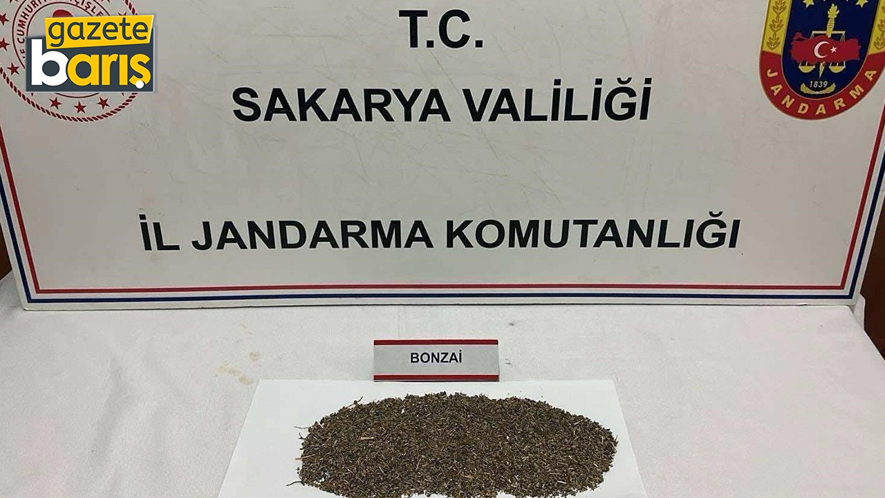 Kocaeli’den Sakarya’ya giden uyuşturucular jandarmaya takıldı