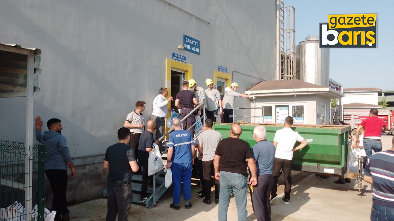 Büyükşehir’in mezbahasında kurbanlar kesiliyor