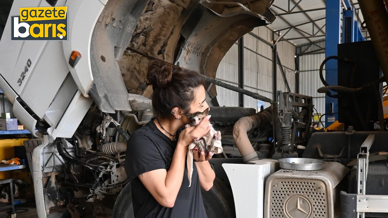 Motor kısmına giren yavru kedi kurtarıldı