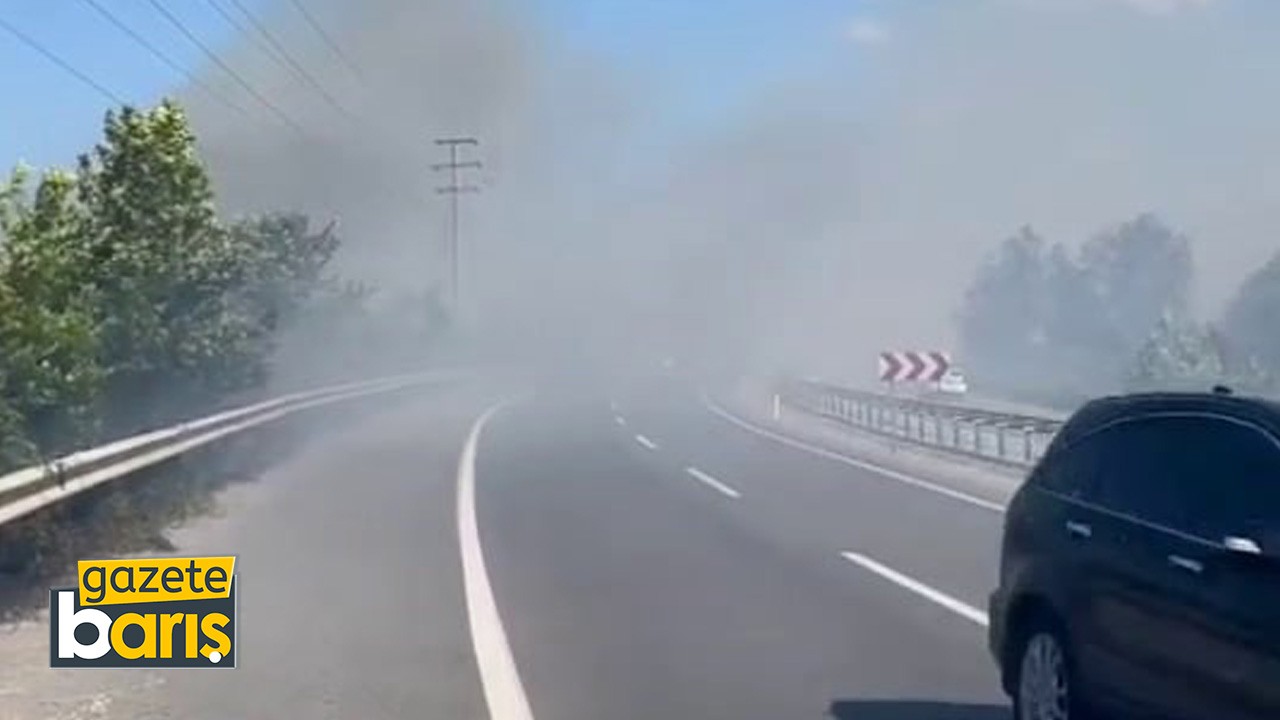 Otluk alanda çıkan yangın, kara yolunu kapladı