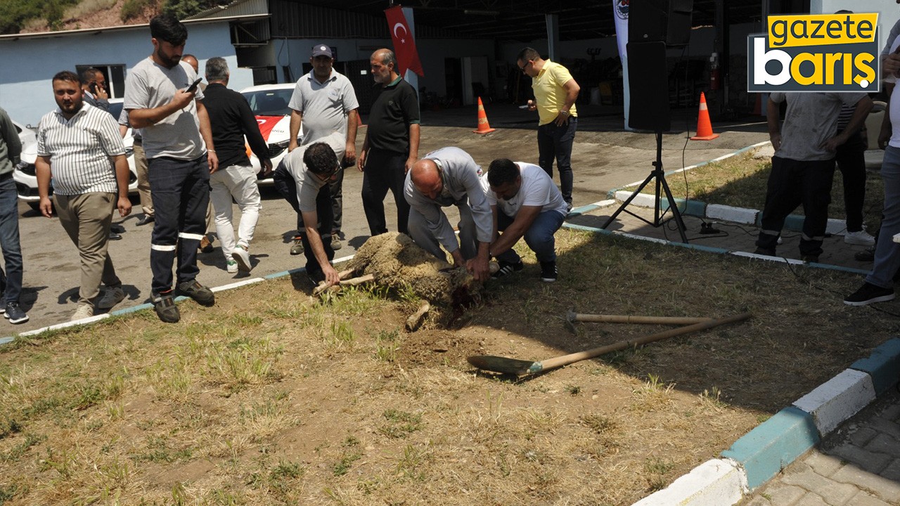 Dilovası’nda yeni araçlar için kurban kesildi