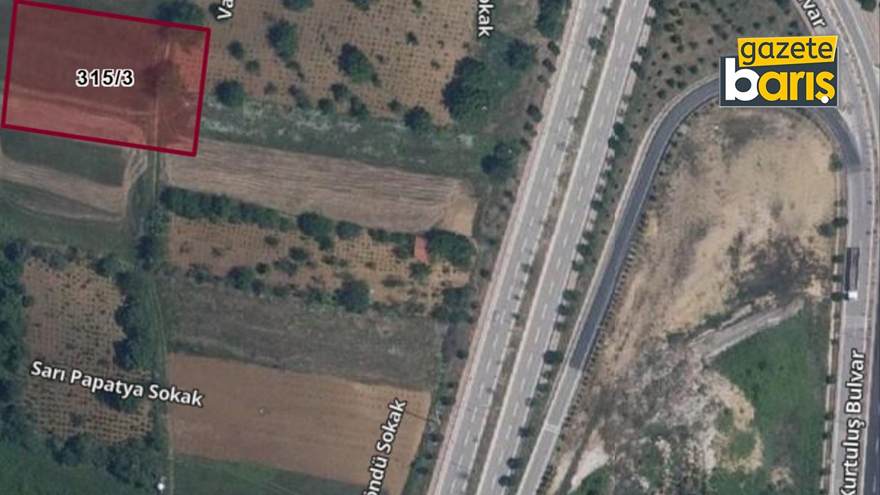 İzmit Kabaoğlu’nun taşı toprağı altın