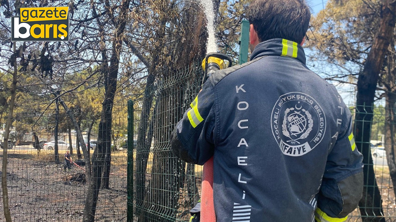 Kocaeli'de ağaçlık alanda yangın