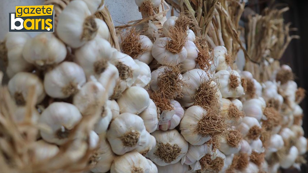 Bursa’dan gelip 2 ton sarımsak sattı. 100 bin lira ceza!