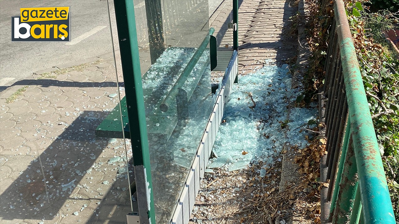 Madde kullanıp otobüs durağına saldırdılar