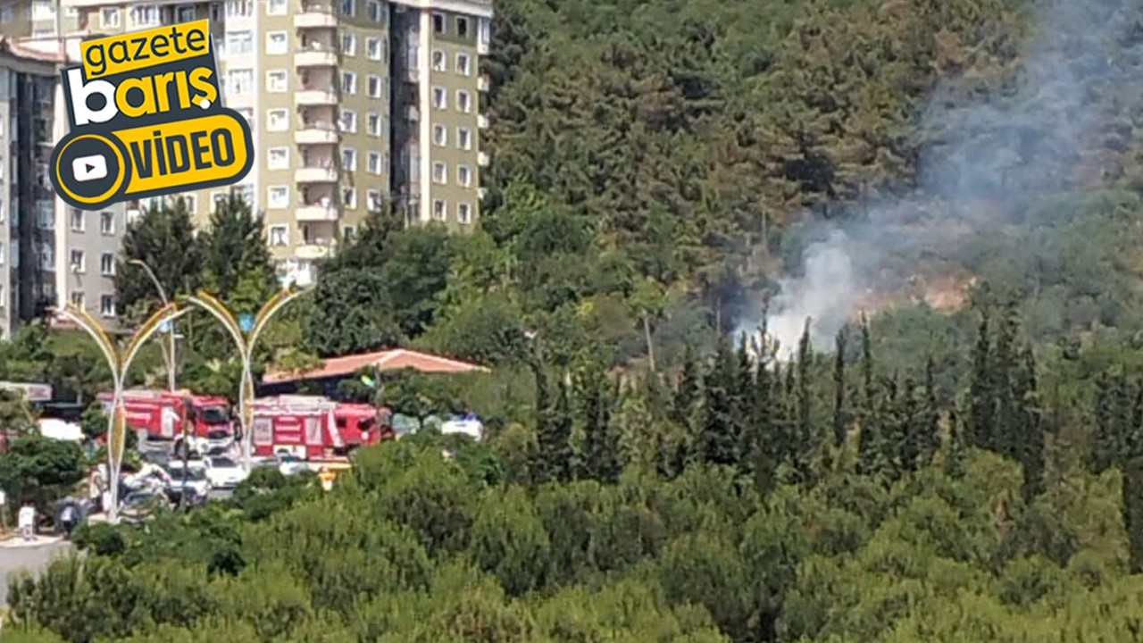 Gebze’de ormanlık alanda yangın!