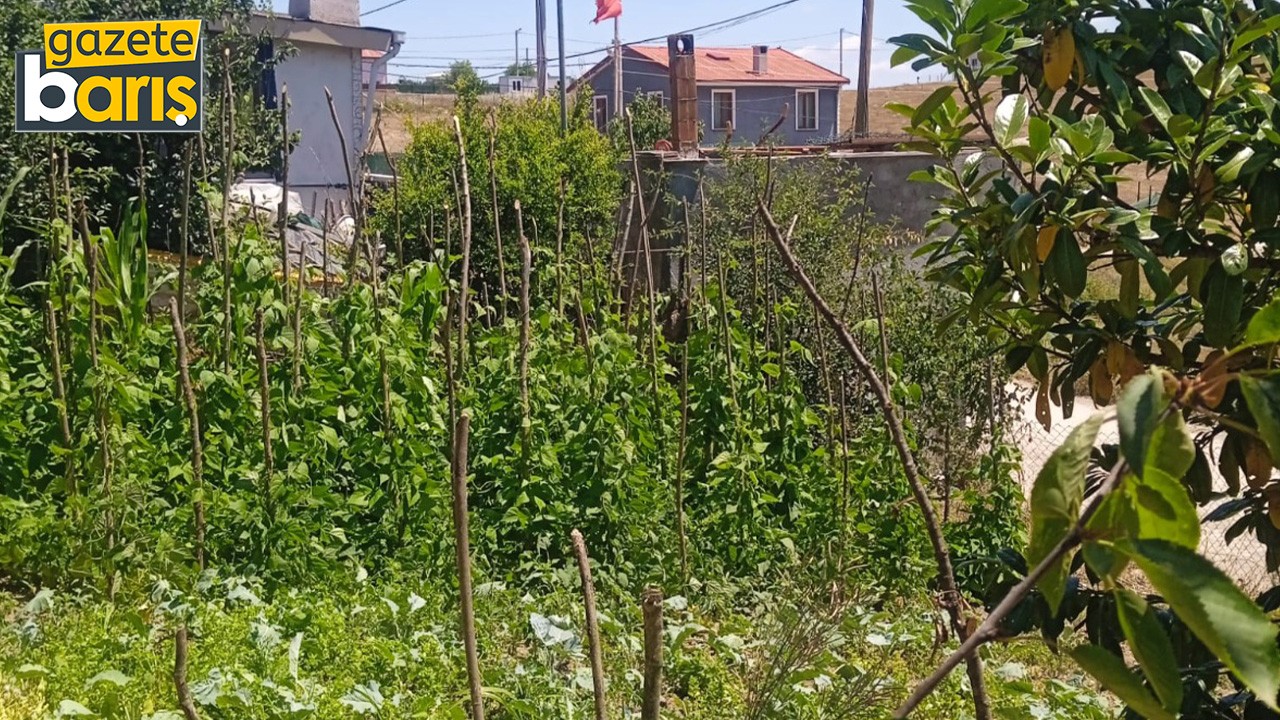 Kocaeli'deki o köy İstanbulluların kaçış durağı oldu