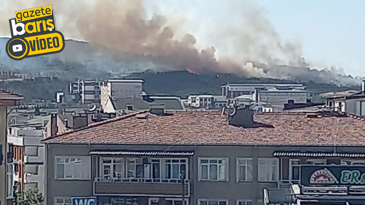 Gebze'de ormanlık alanda yangın çıktı