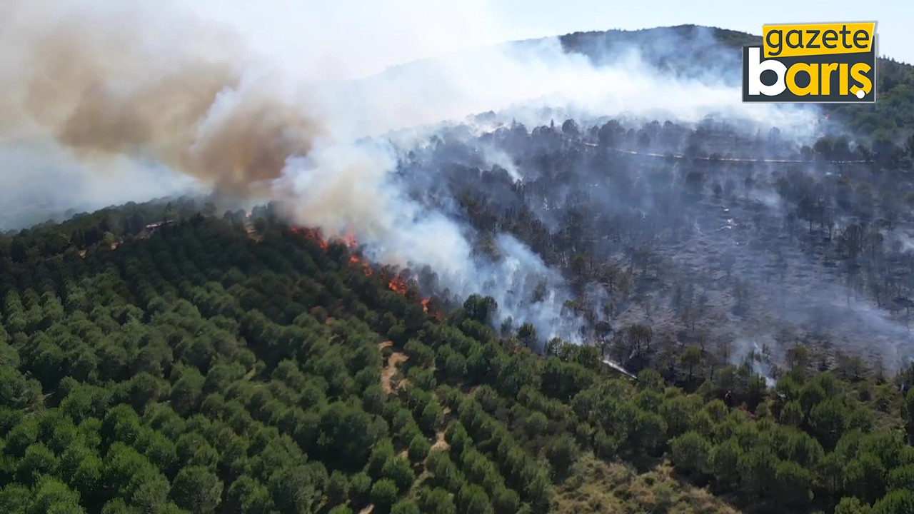Gebze'deki orman yangını kontrol altına alındı