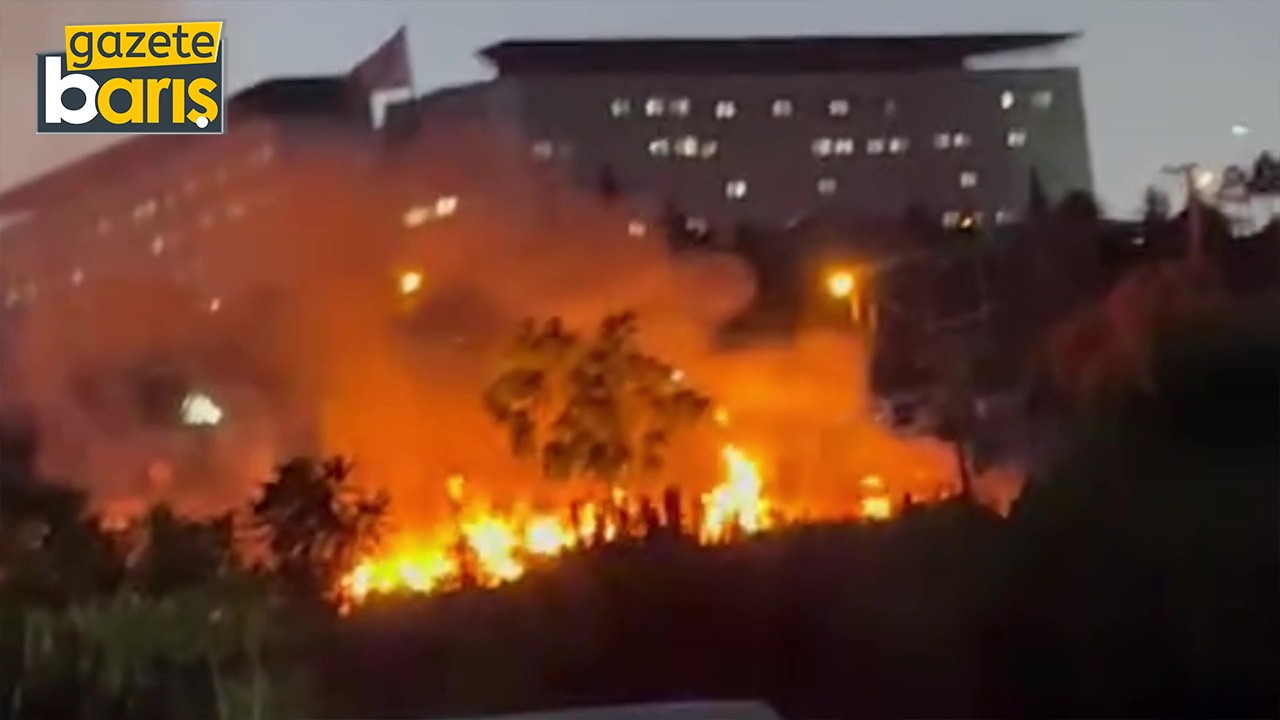 Darıca Millet Bahçesi'nde yangın çıktı