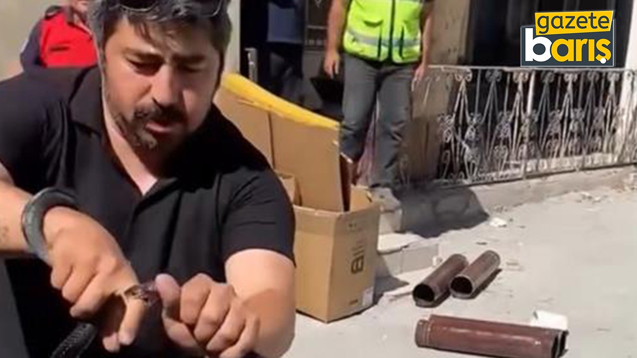 Yılanı yakalamak isterken parmağını kaptırdı