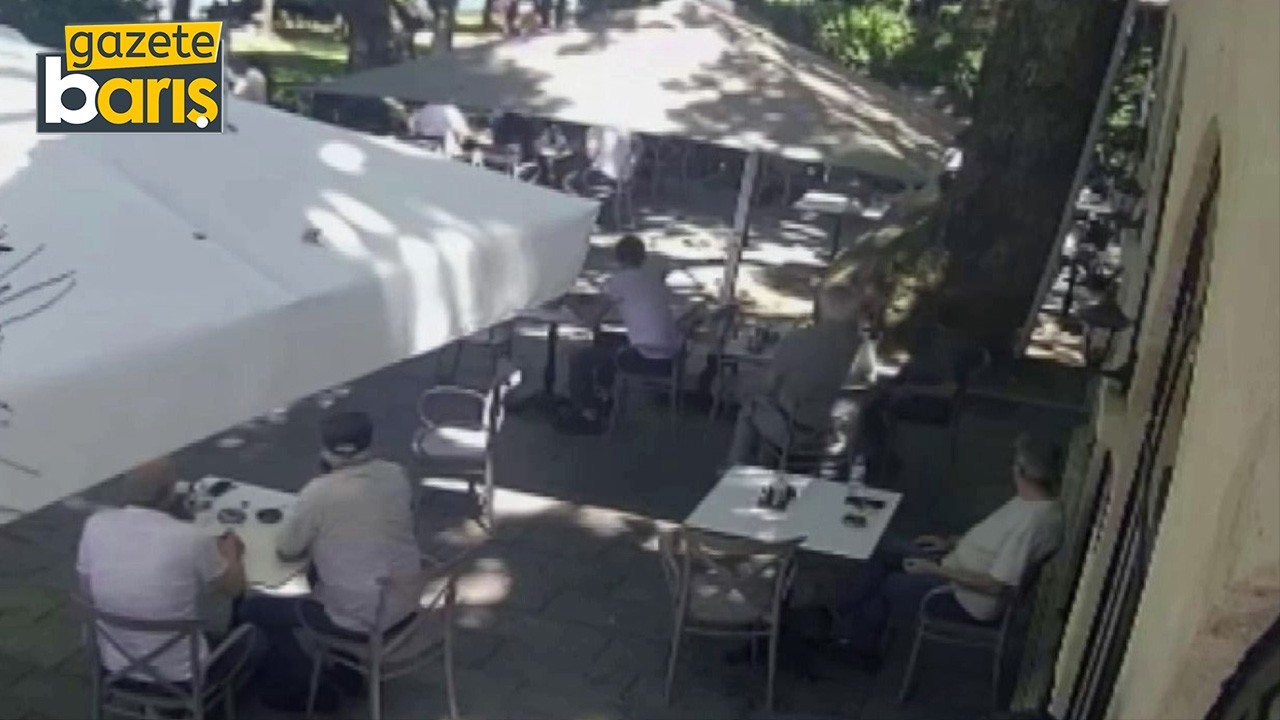 Çınardan kopan dal can almıştı: O anlar kamerada