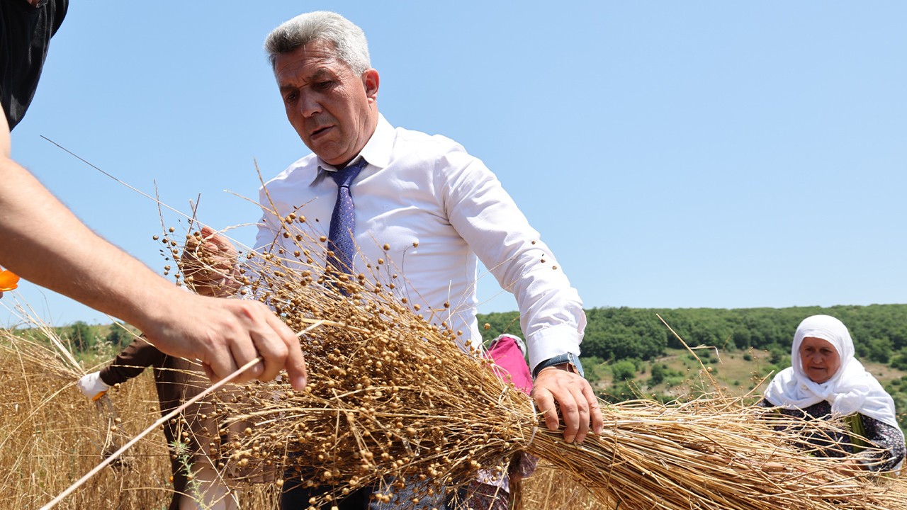 Başkan Ölmez ''Keten Bitkisini Yeniden Gün Yüzüne Çıkarmaya Karar Verdik'