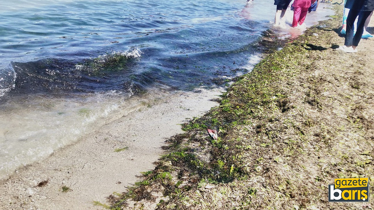 Kocaeli’nin gözdesi Kerpe Plajı’ndan kötü görüntüler