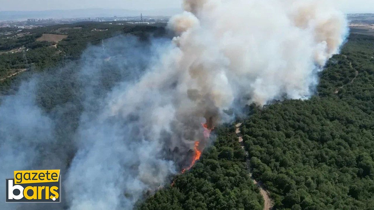 Gebze'de ormanlık alanda yangın çıktı