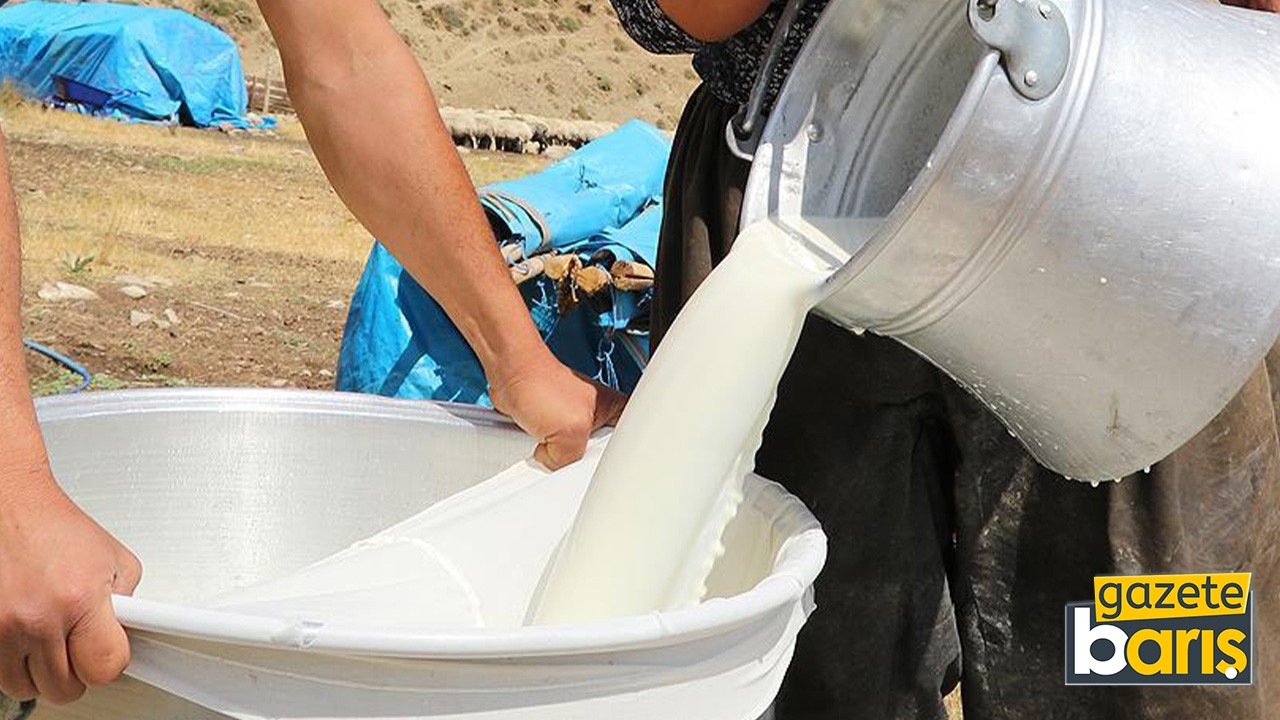 Çiğ süt fiyatında yağ ve protein içeriği için ek fiyatlama