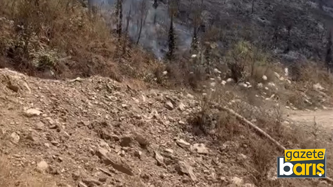 Zamanında müdahale yangını söndürdü