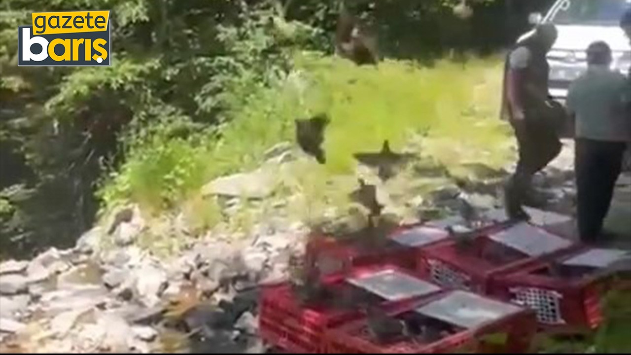 Kene ile mücadele timleri doğaya salındı