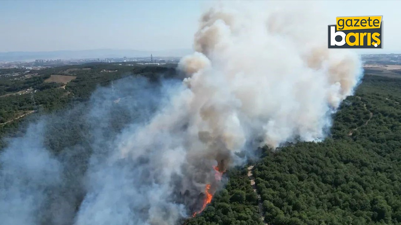 Kocaeli’deki orman yangını saatler sonra kontrol altına alındı!