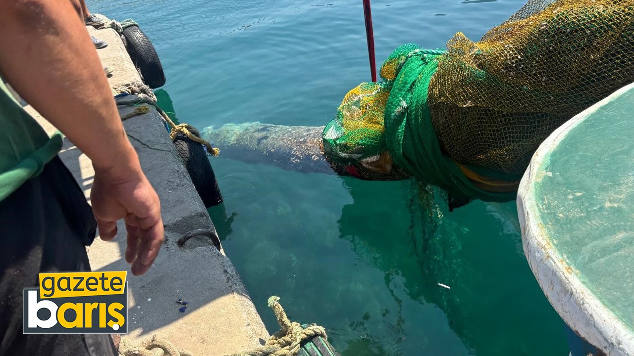 İzmir Karaburun'da balıkçı ağına denizaltı torpidosu takıldı