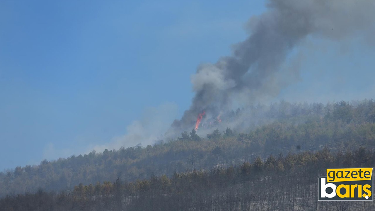 Sakarya'da çıkan yangının dumanları Eskişehir'e ulaştı