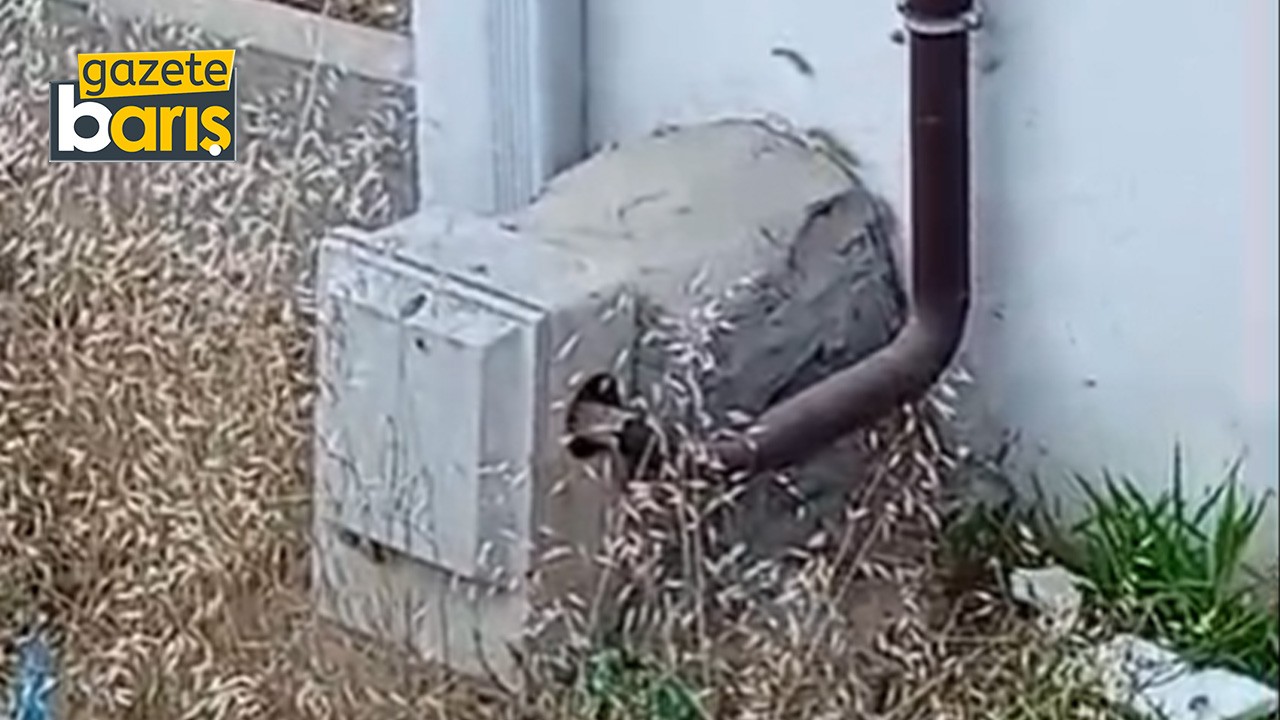 Gebze’de kaçak doğalgaz paniği!