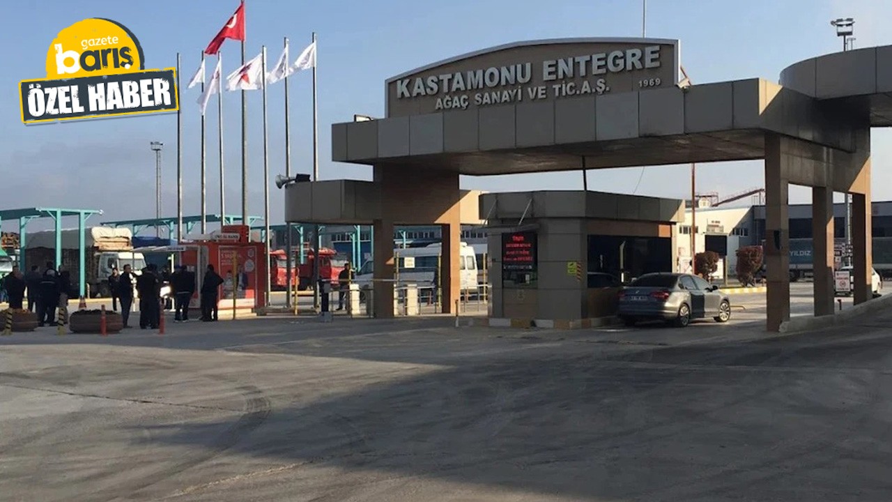 Kocaeli’de ağaç sanayinin 80 milyonluk projesine onay!