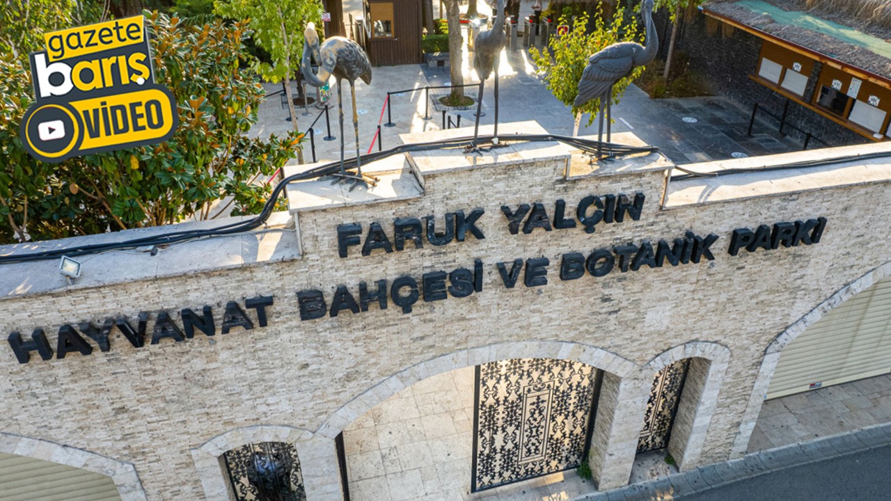 Hayvanat bahçesindeki hayvanlar buzla serinletiliyor