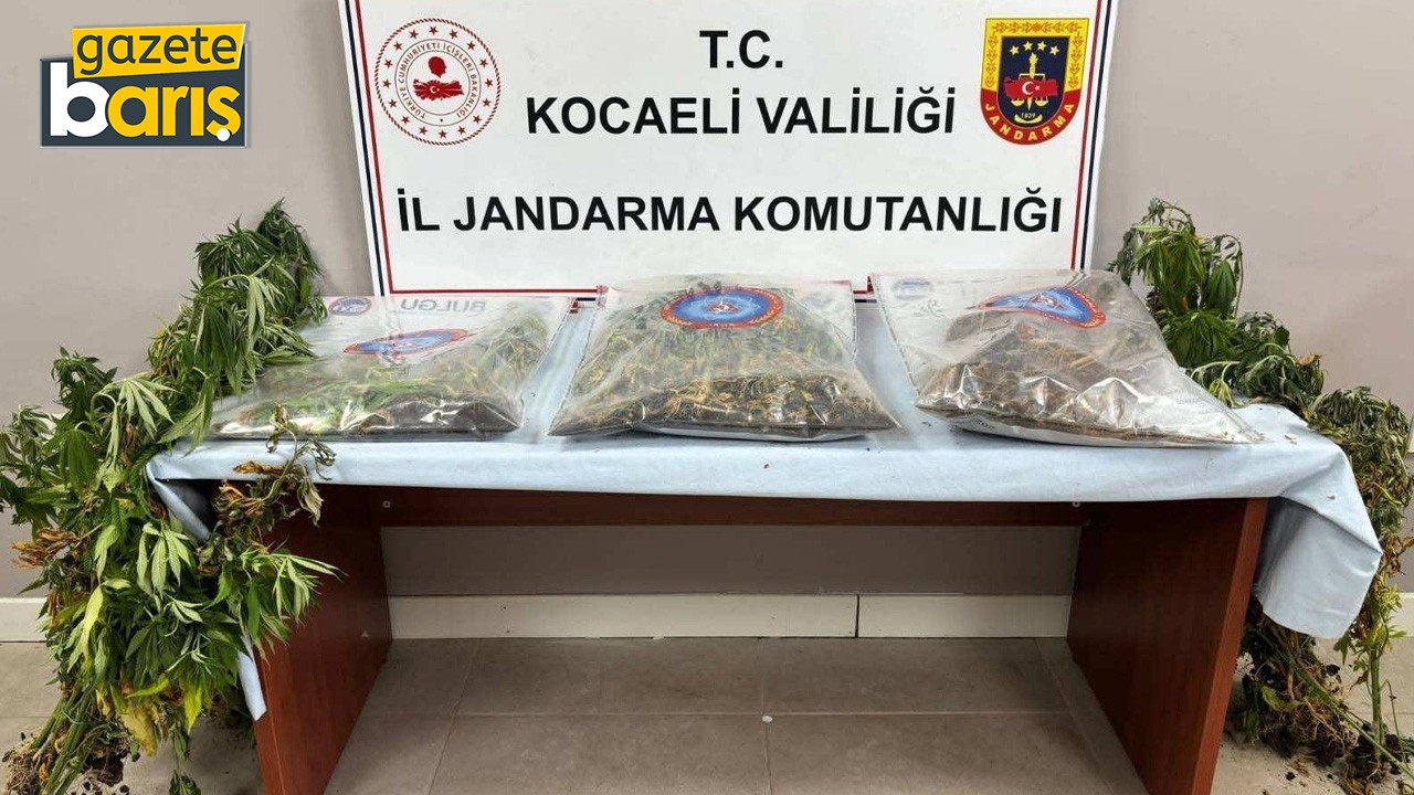 Kocaeli'de 3 ilçede uyuşturucu operasyonu!