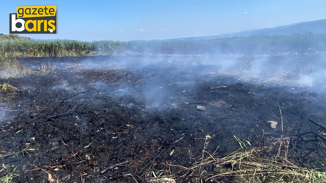 Sapanca Gölü'ndeki sazlık alanda yangın çıktı
