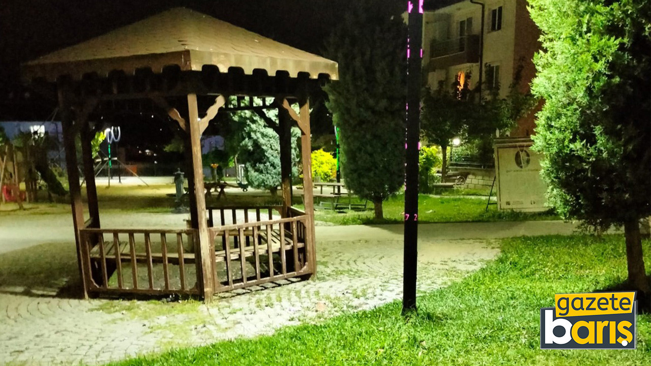 Aman dikkat evde beslenen bu türleri parklara salmayın(!)