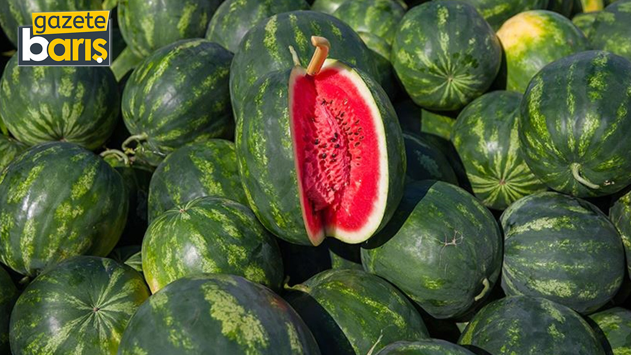 Karpuz Temmuzda yarı yarıya ucuzladı
