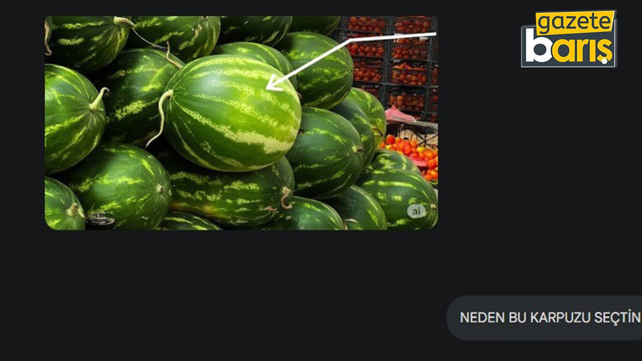 Yapay zeka artık karpuz seçiyor