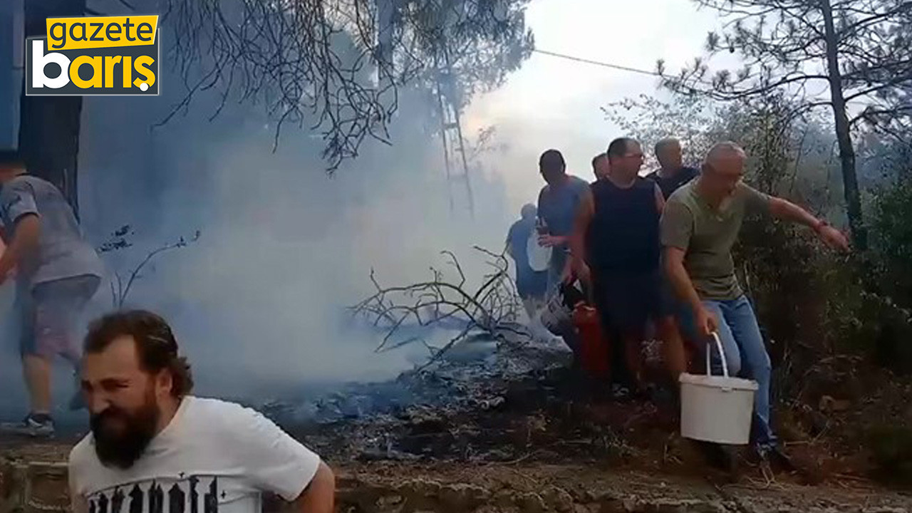 İzmit’te orman yangını!