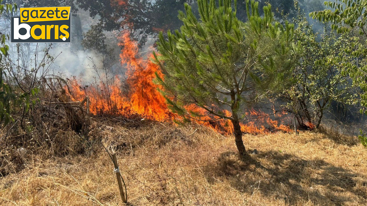 Makilik alanda korkutan yangın