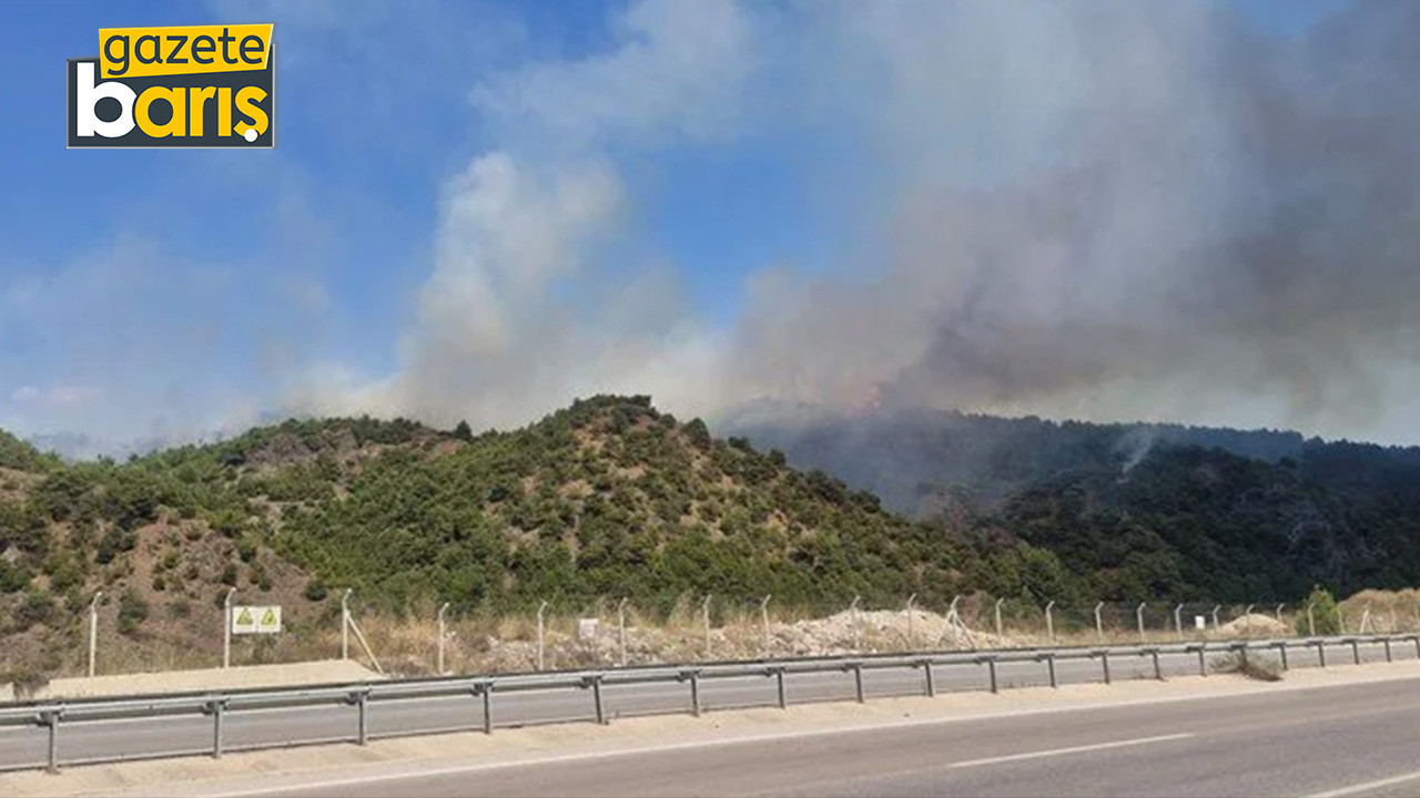 Tokat'ta orman yangını