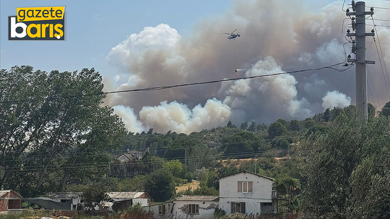 Çanakkale'de orman yangını