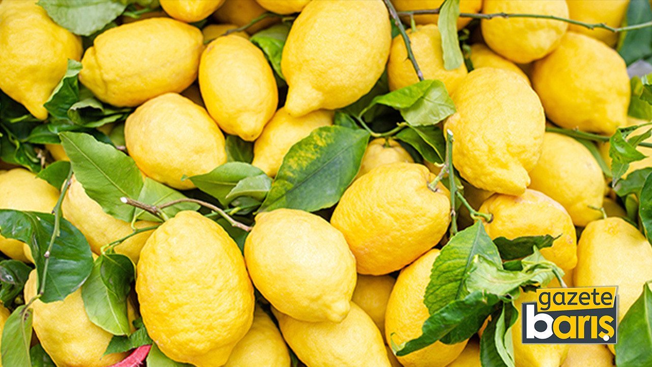 Kilosu 150 lirayı aşan limonda fiyat düşecek!