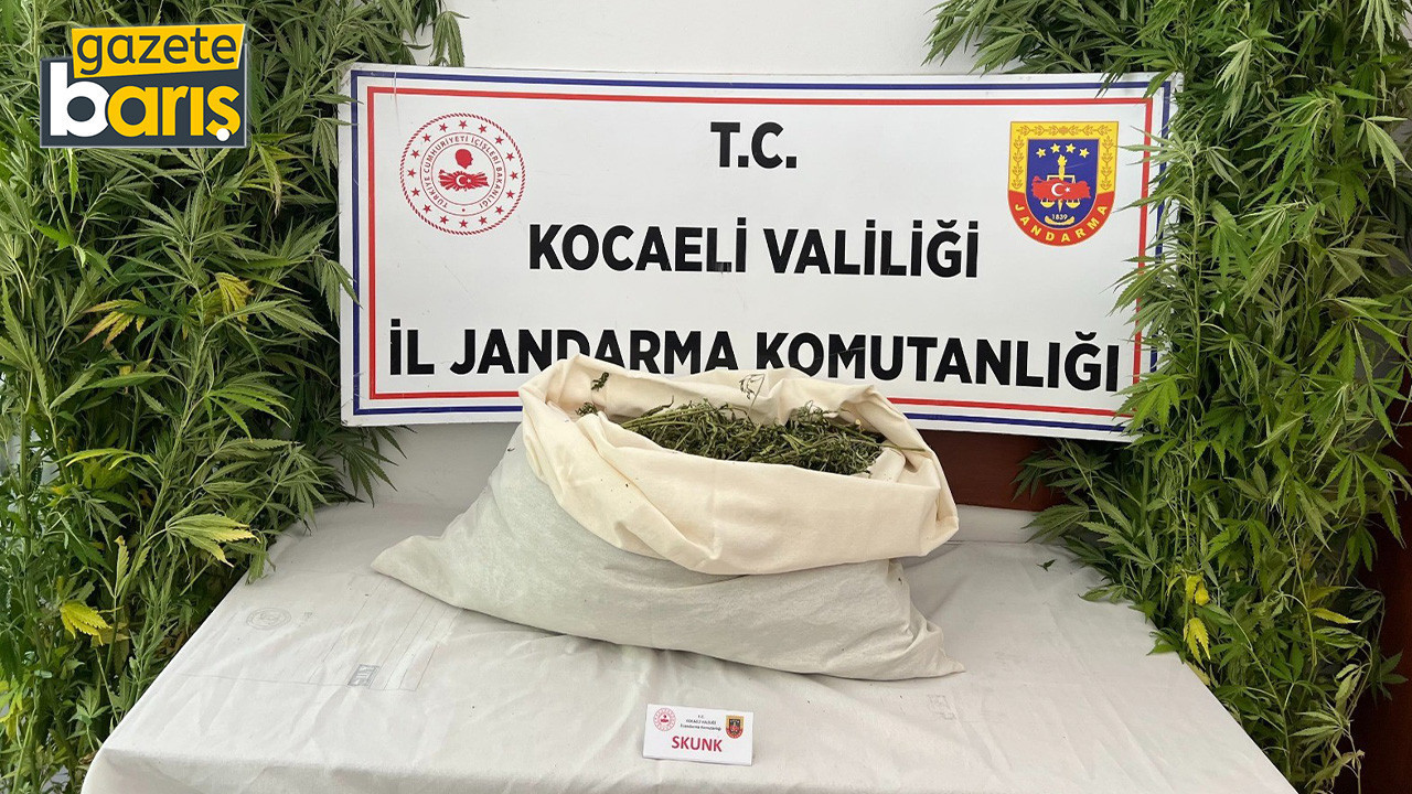 İzmit ve Kandıra’da uyuşturucu baskını