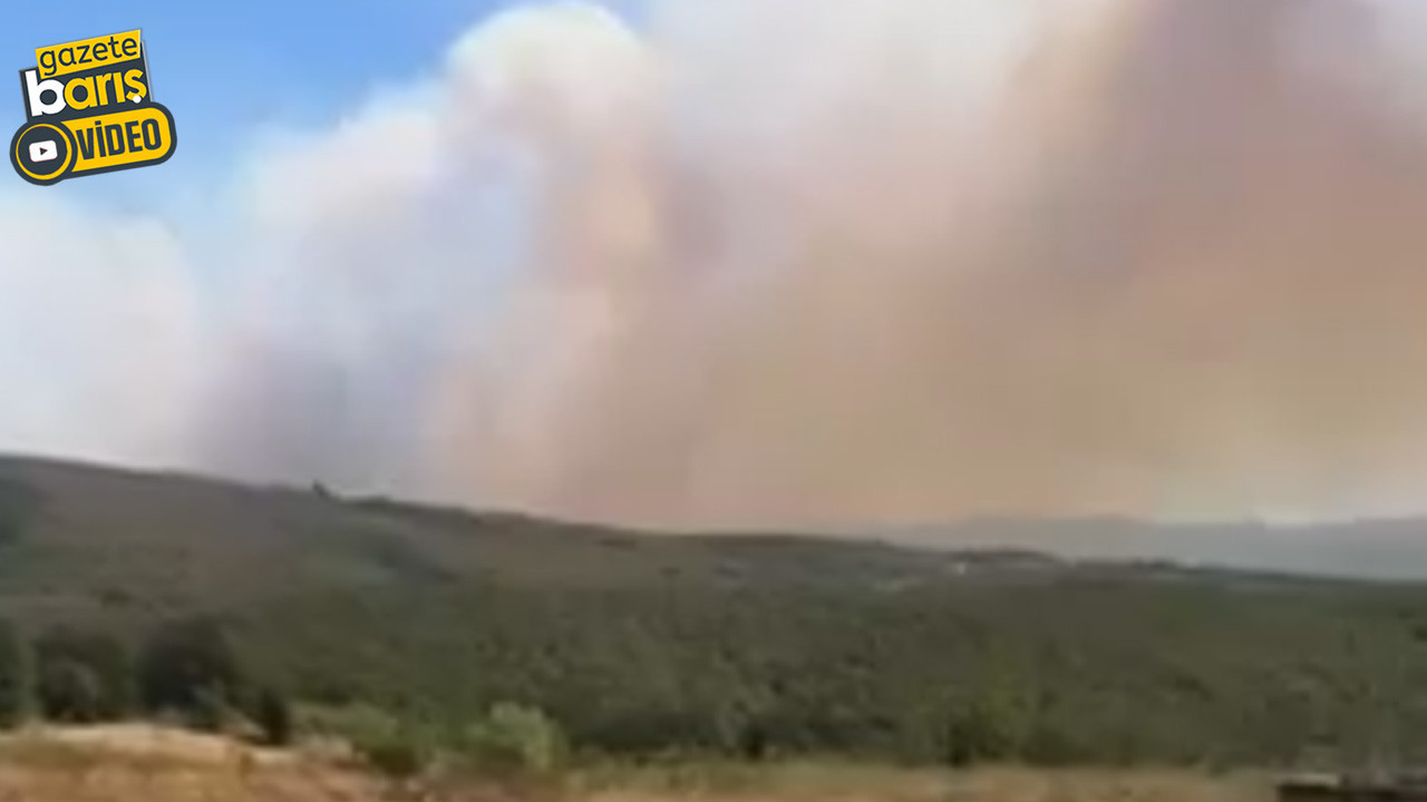 Karamürsel’de orman yangını!