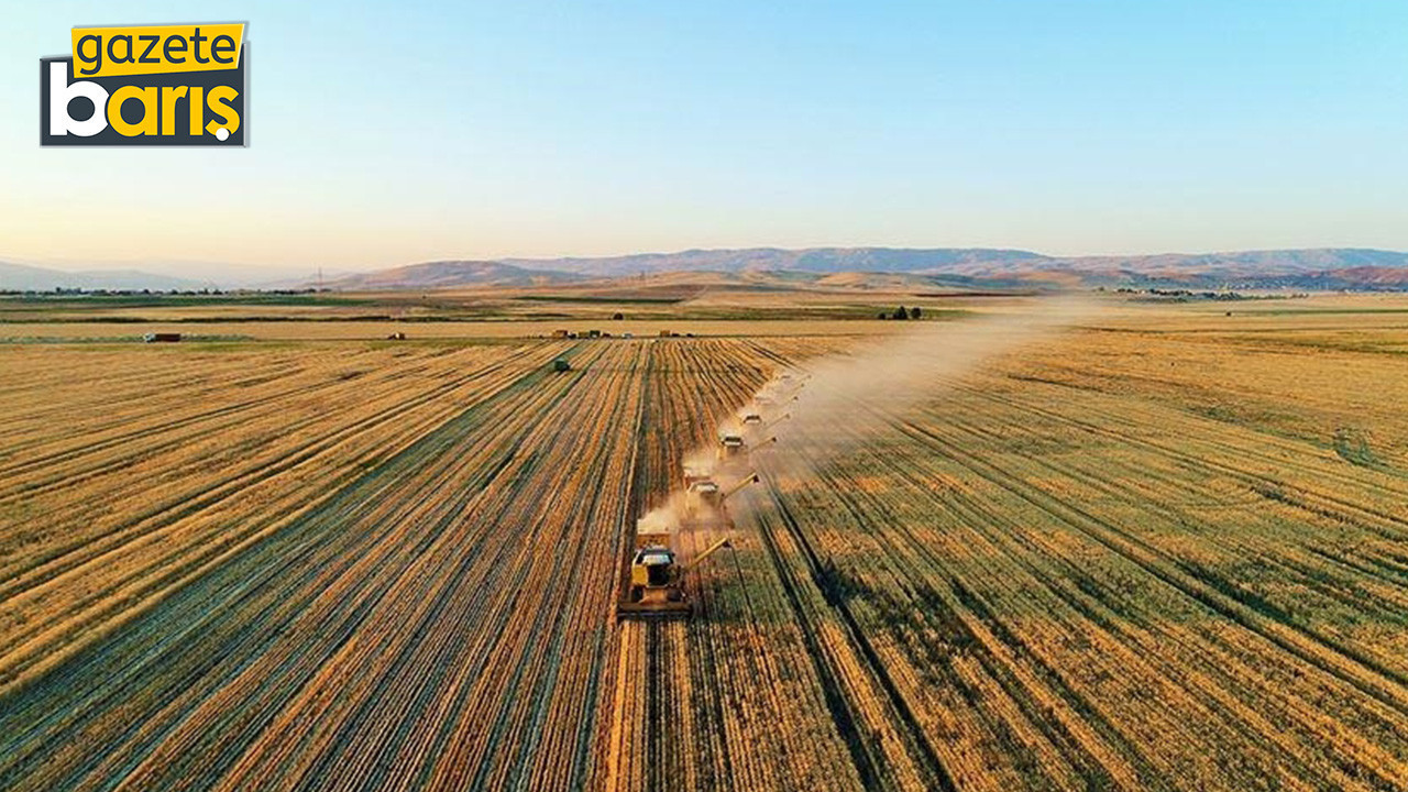 Tarım ürünleri fiyatlarında aylık düşüş