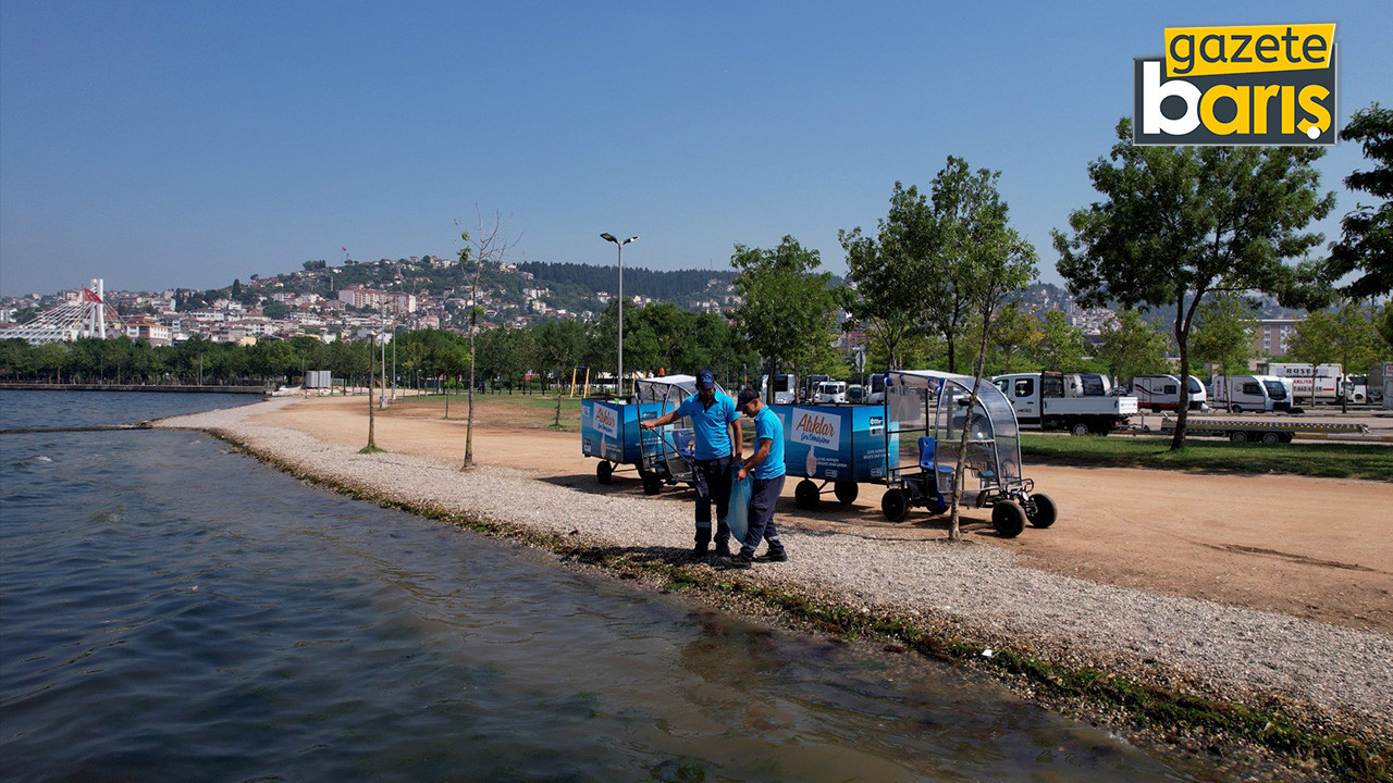 İşte Kocaeli sahillerinde son durum