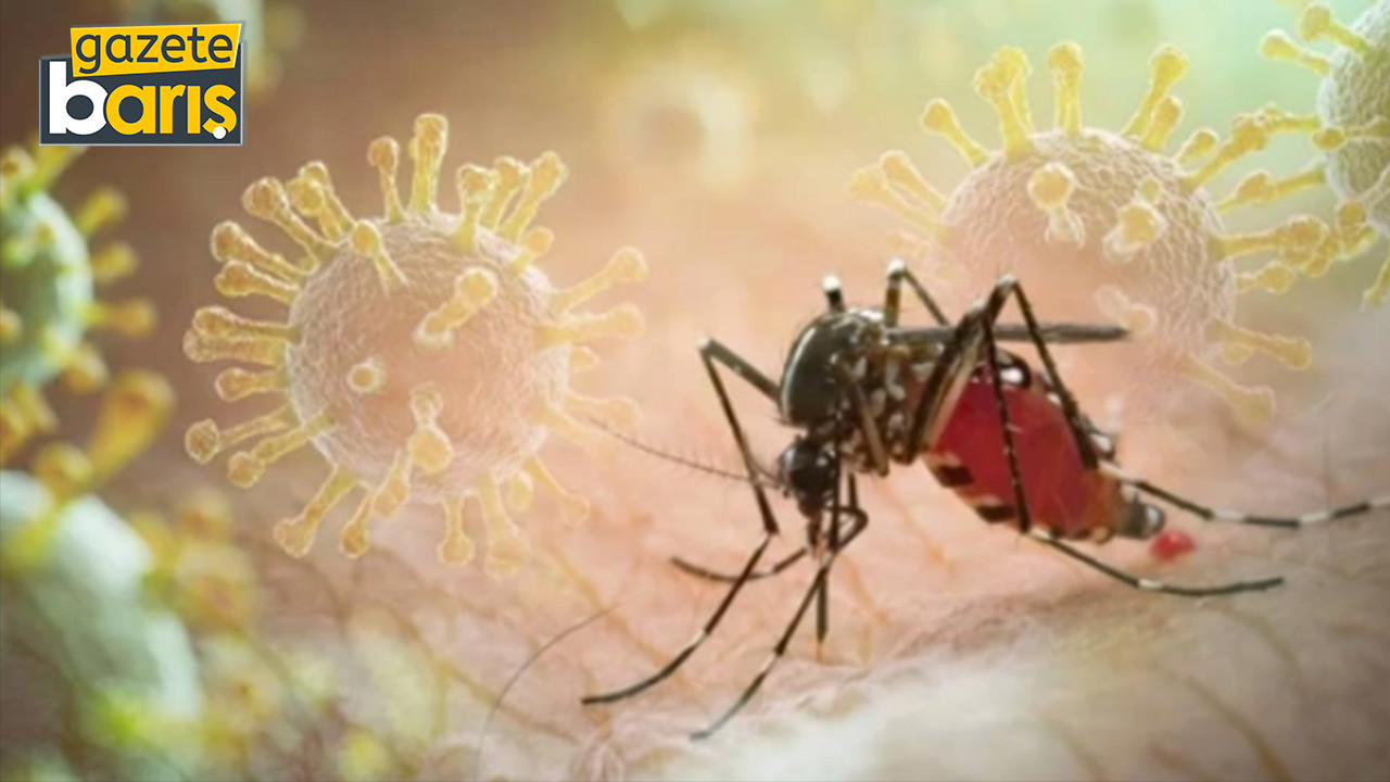 Chikungunya virüsü için telaş edilecek bir şey yok