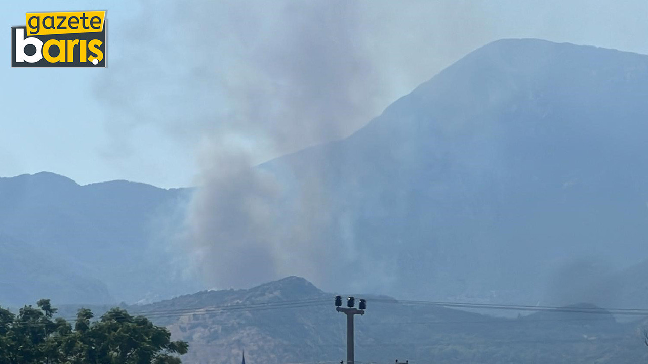 Muğla'da yangın
