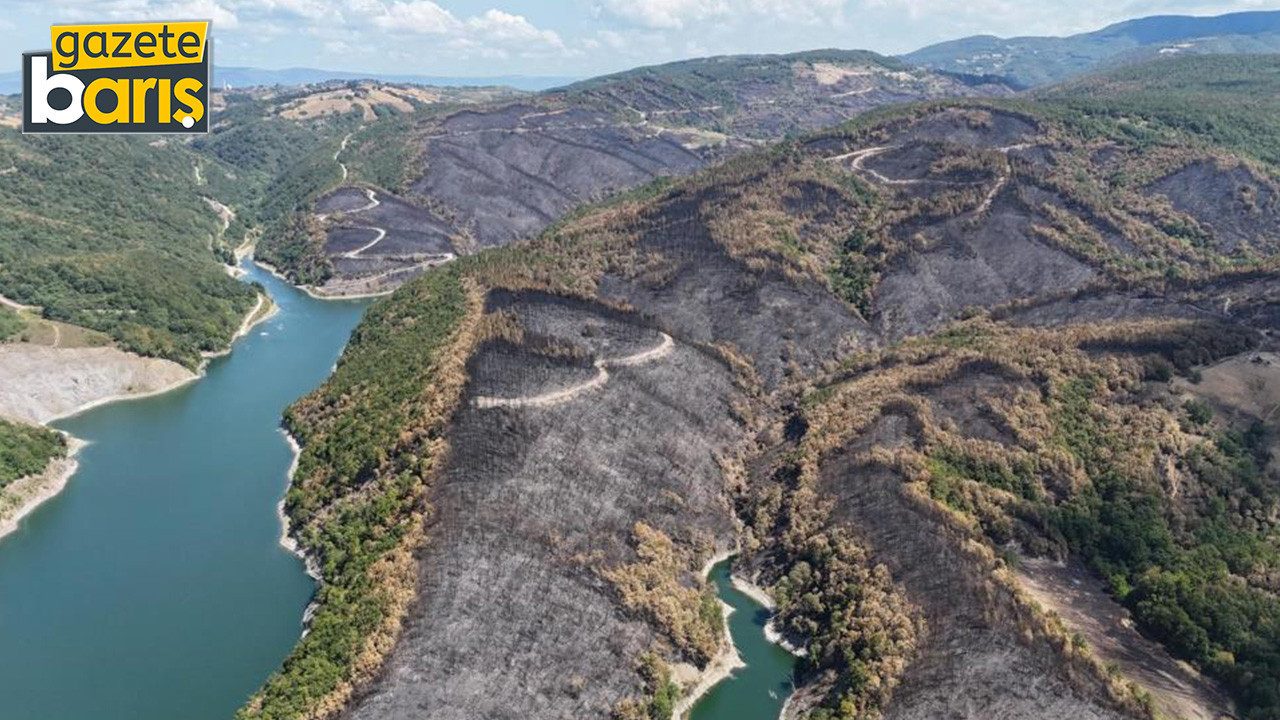 Karamürsel yangınından geriye kalan o acı manzara...