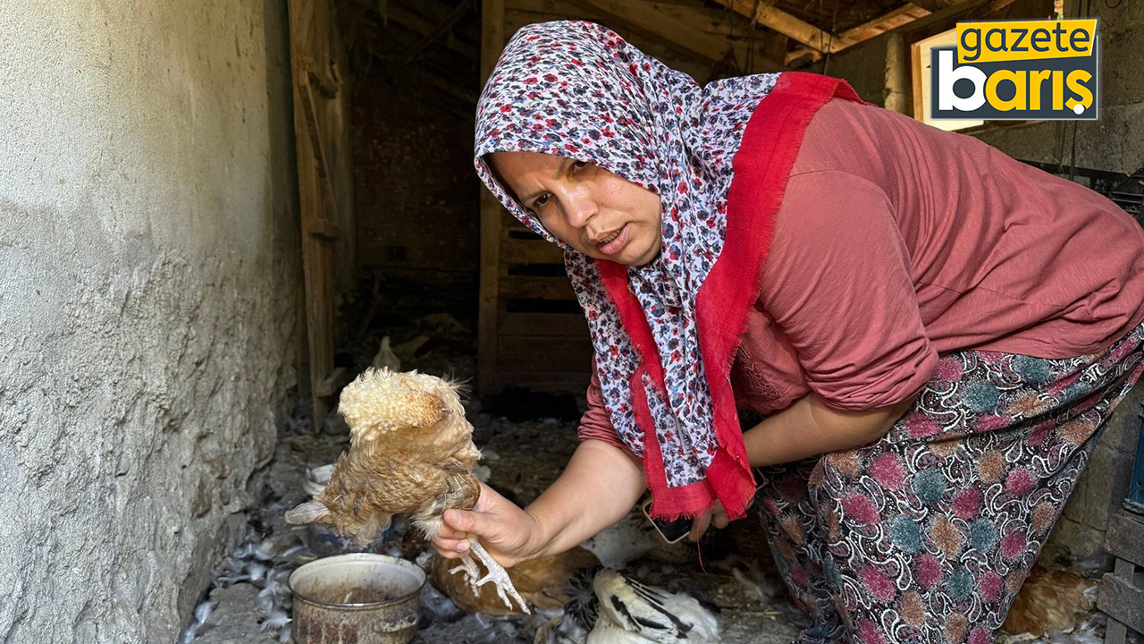 22 yıllık emek bir gecede yok oldu